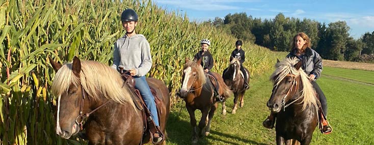 Ausritte in die Natur des Bayerischen Waldes